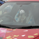 Illustration for article titled Yes, Anime Themed Cars Are Pretty Common In Japan